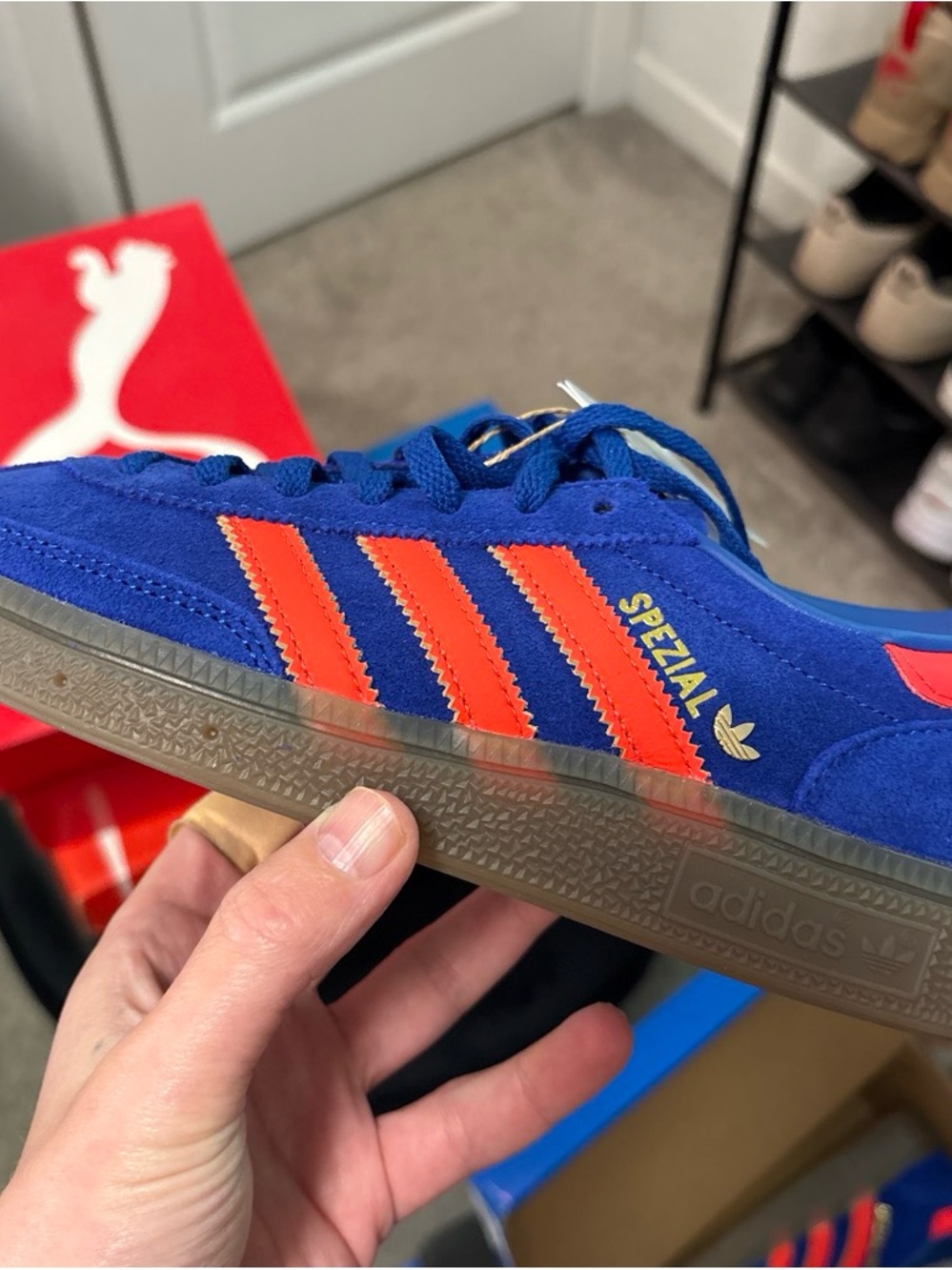 adidas youth/womens Spezial Suede Sneaker in Royal Blue and Bright Orange - Picture 2 of 4